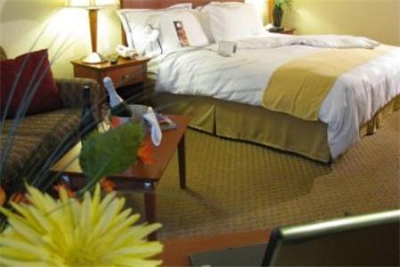Charleston Airport Hotel North Charleston Chambre photo