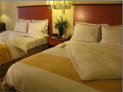 Charleston Airport Hotel North Charleston Chambre photo